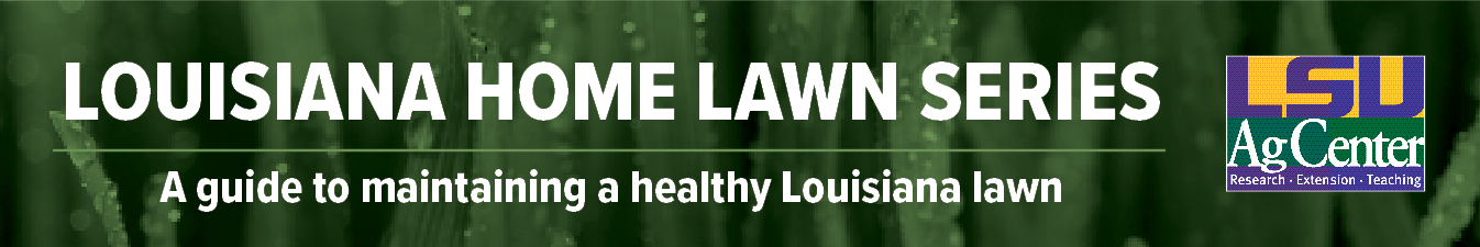 Louisiana Home Lawn Series: Simple Home Irrigation Audit